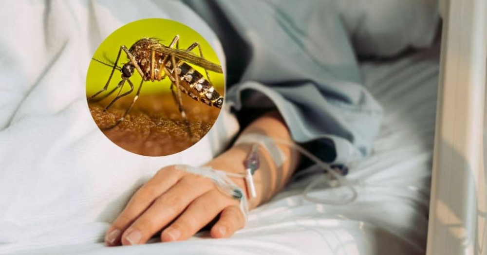 Detectan el primer caso de dengue en El Alto