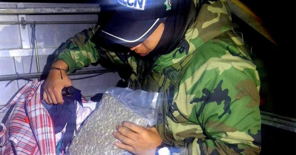 Cochabamba: Hallan marihuana oculta en ropa dentro de un bus interdepartamental
