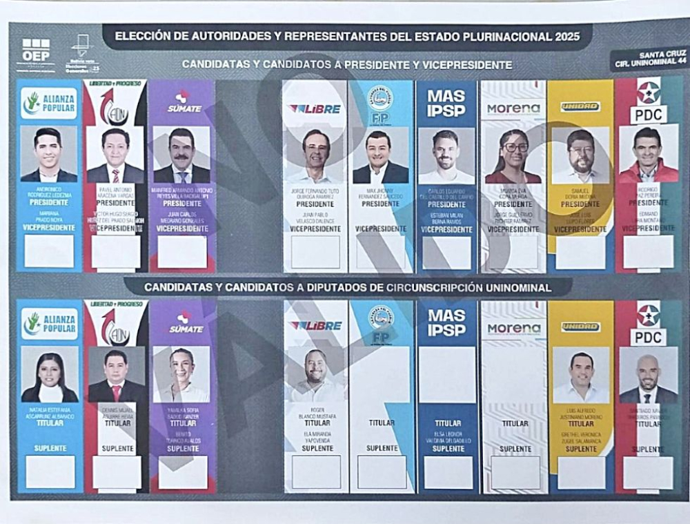 TSE acepta retiro de NGP y aprueba nueva papeleta