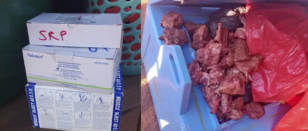 Dos aprehendidos por transportar carne en recipiente para vacunas: “Rompieron la cadena de frío”, dice ministra