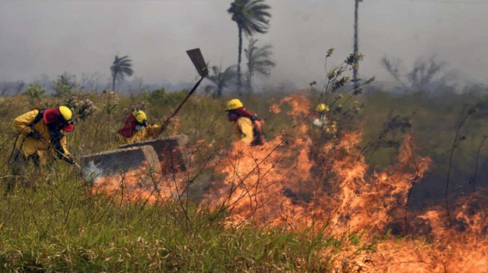 Tribunal Agroambiental recuerda que rige la pausa ecológica y prohibiciones de chaqueos