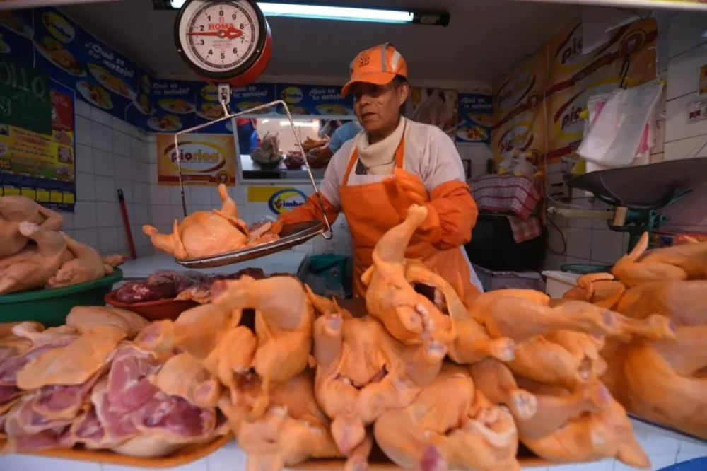 Escasez de diésel pone en riesgo abastecimiento de carne de pollo