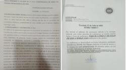 Senadora Salame denuncia que nuevo recurso admitido por un tribunal del Beni busca afectar las elecciones del 17 de agosto