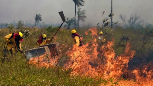 Gobierno presenta su plan de manejo integral del fuego