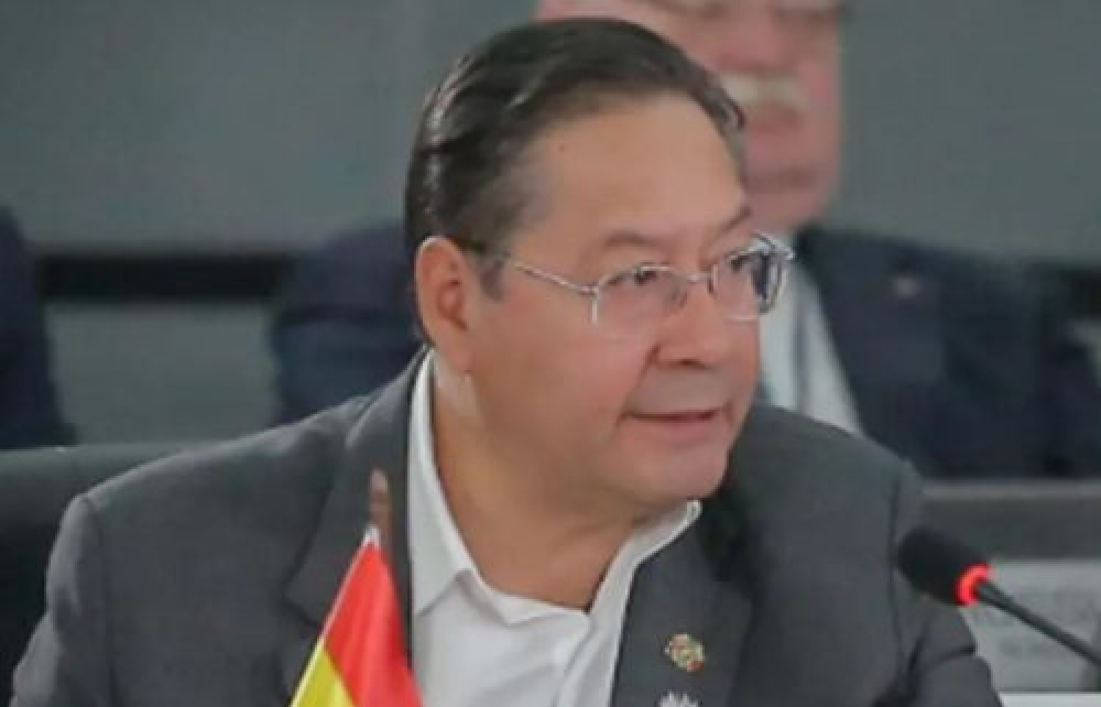 Arce pide en los Brics buscar instrumentos financieros que no dependan de calificadoras de riesgo