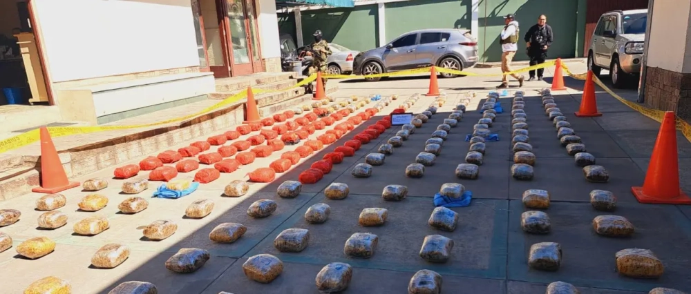 Cochabamba : Felcn incauta más de 200 kilos de marihuana en una vivienda